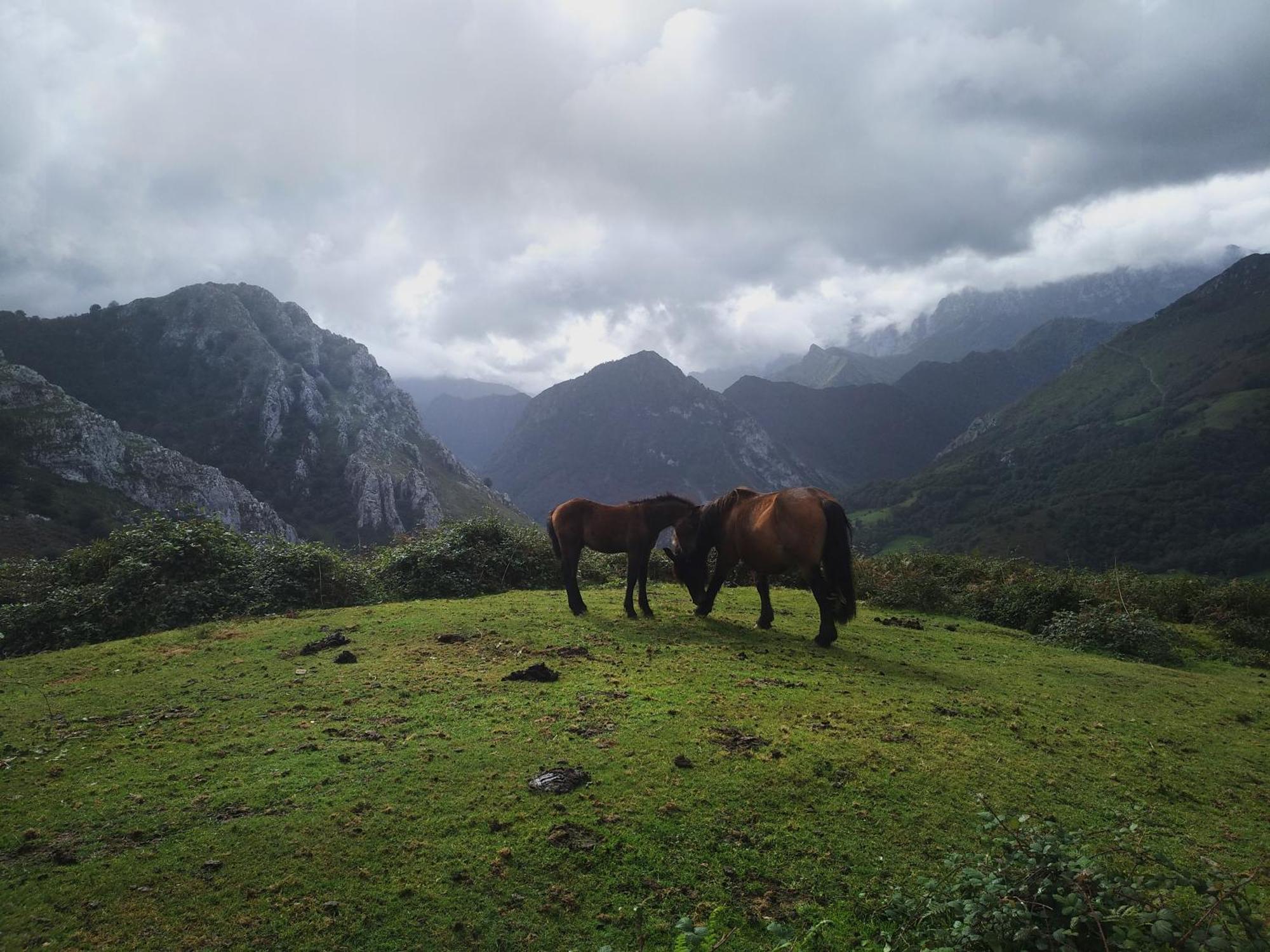 Belenos Alojamientos Turisticos เนียมโบร ภายนอก รูปภาพ